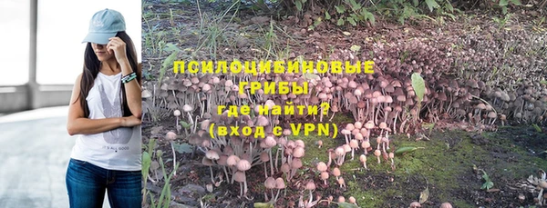 мдпв Бронницы