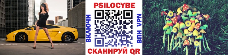Галлюциногенные грибы MAGIC MUSHROOMS  KRAKEN маркетплейс  Буйнакск 