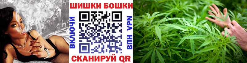 сколько стоит  shop состав  МАРИХУАНА SATIVA & INDICA  Буйнакск 